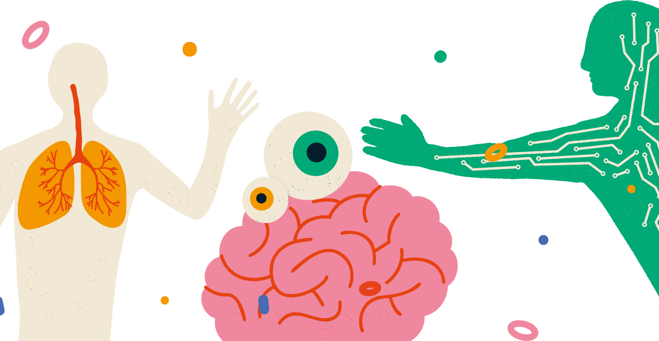 Northern Ireland Science Festival